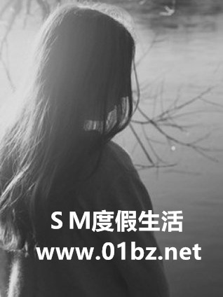 SM�ȼ�����